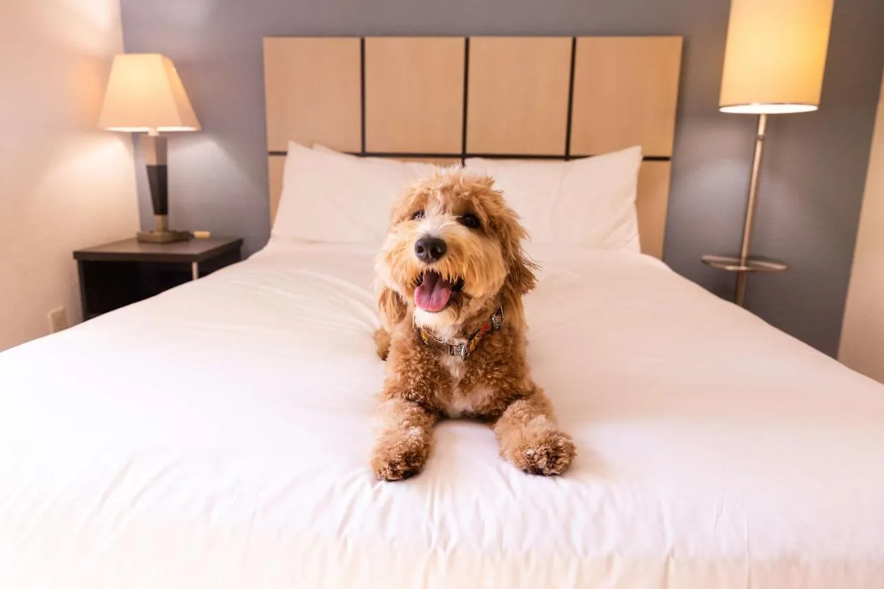 ** Hotel Sonesta Simply Suites Anaheim Garden Grove United States
